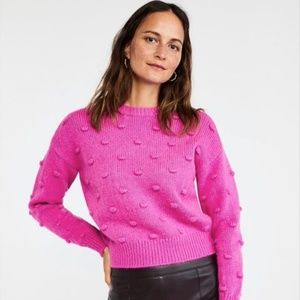 NWT Ann Taylor Popcorn Stitched Sweater